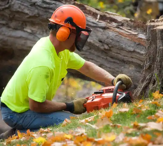 tree services Cullowhee